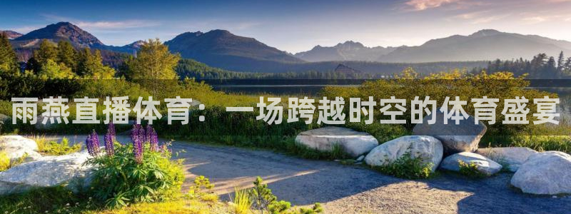 雨燕直播体育：一场跨越时空的体育盛宴