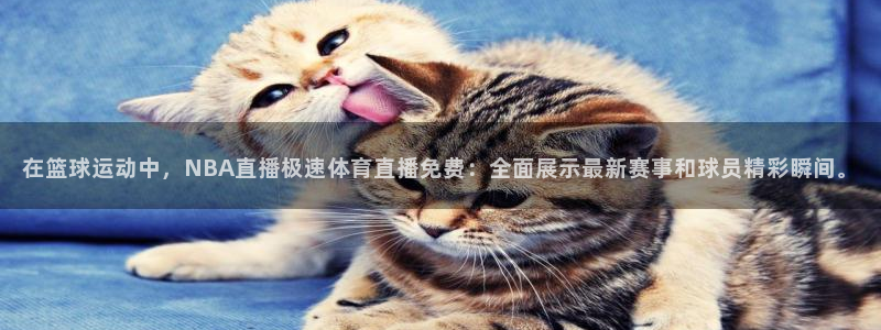 在篮球运动中，NBA直播极速体育直播免费：全面展示最新赛事和球员精彩瞬间。