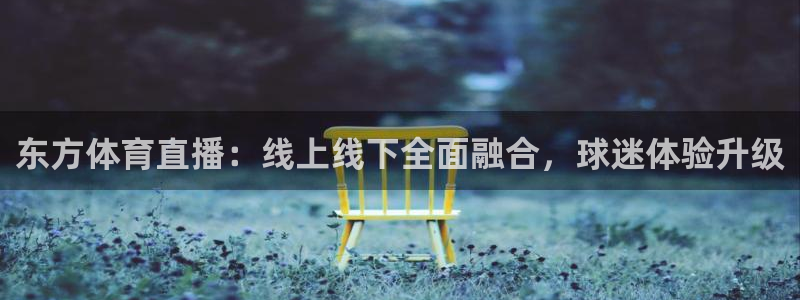 东方体育直播：线上线下全面融合，球迷体验升级