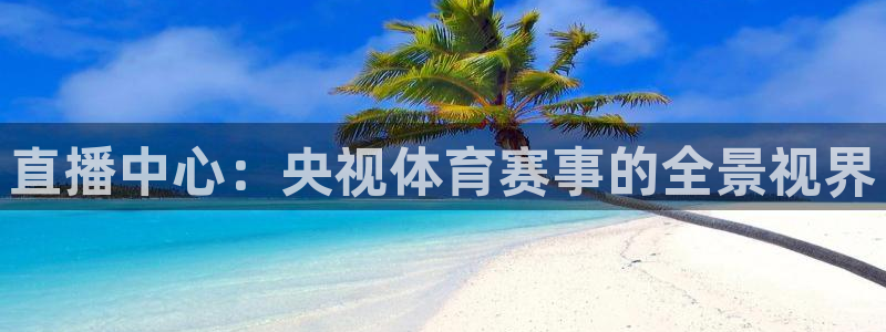 直播中心：央视体育赛事的全景视界