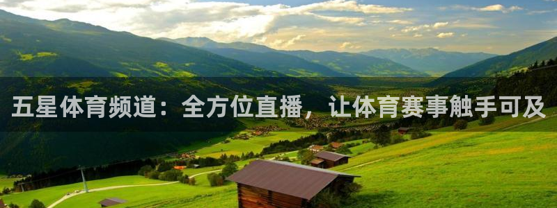 五星体育频道：全方位直播，让体育赛事触手可及