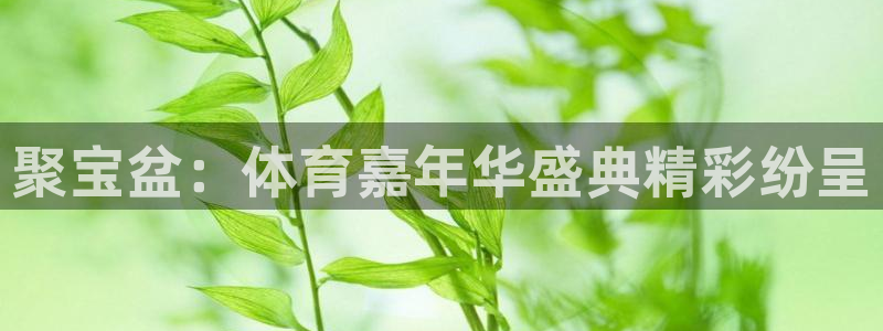 聚宝盆：体育嘉年华盛典精彩纷呈
