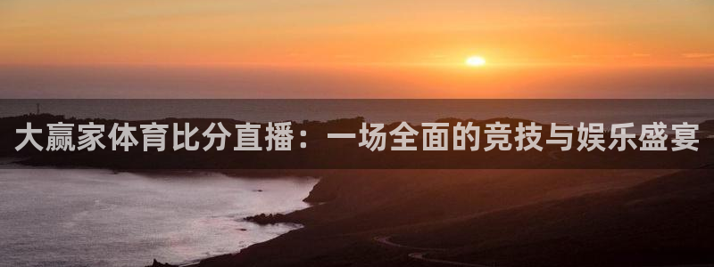 大赢家体育比分直播：一场全面的竞技与娱乐盛宴
