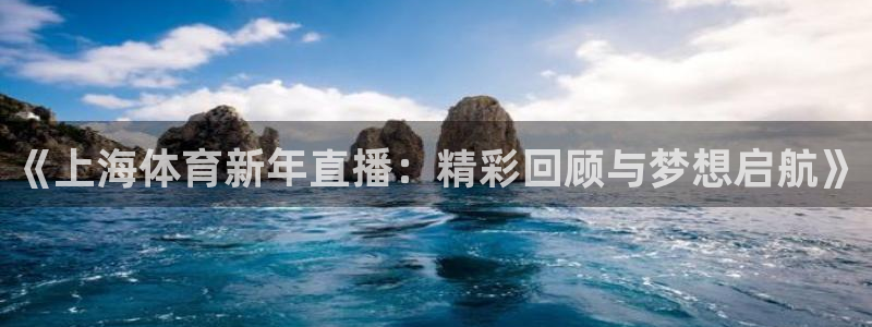 《上海体育新年直播：精彩回顾与梦想启航》